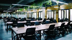 Best Commercial Investment Options in 2025